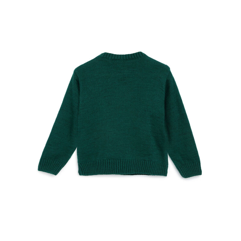 Boys Medium Green Printed Pullover image number 1